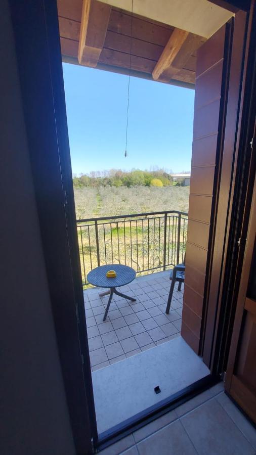 Agriturismo Olistella Palazzolo dello Stella Eksteriør bilde