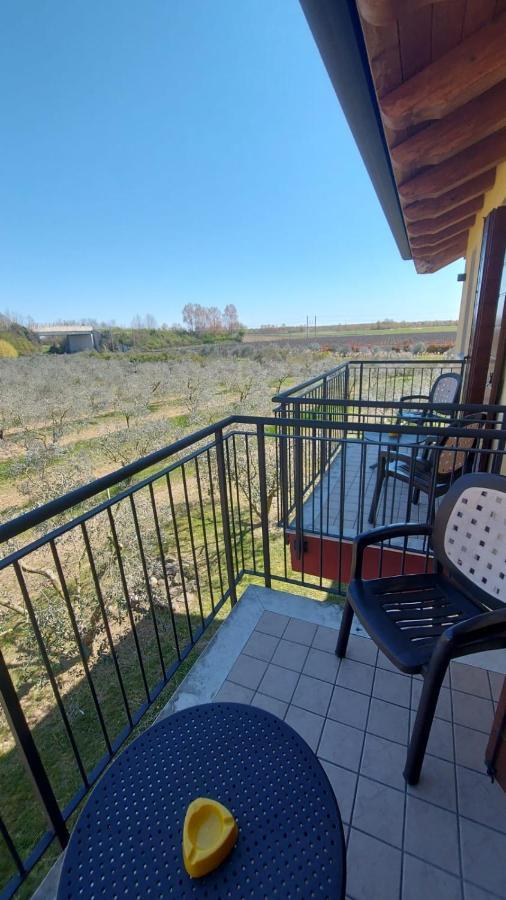 Agriturismo Olistella Palazzolo dello Stella Eksteriør bilde